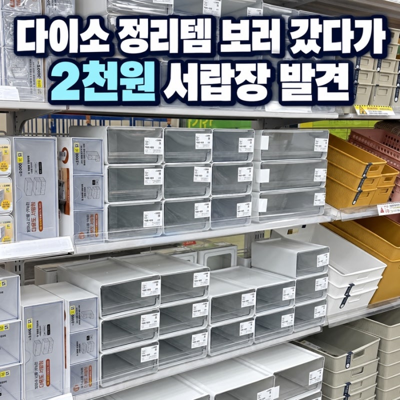 다이소 정리템 보러 갔다가 놀랐어요, 2천원짜리 서랍장까지 나왔네요