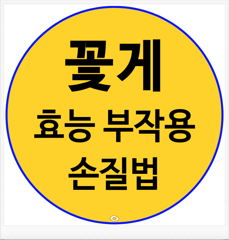 꽃게 효능 부작용 영양성분 손질법 총정리