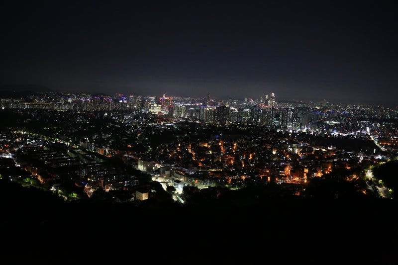 서울 야경 타이거버스 직접 타본 솔직 후기