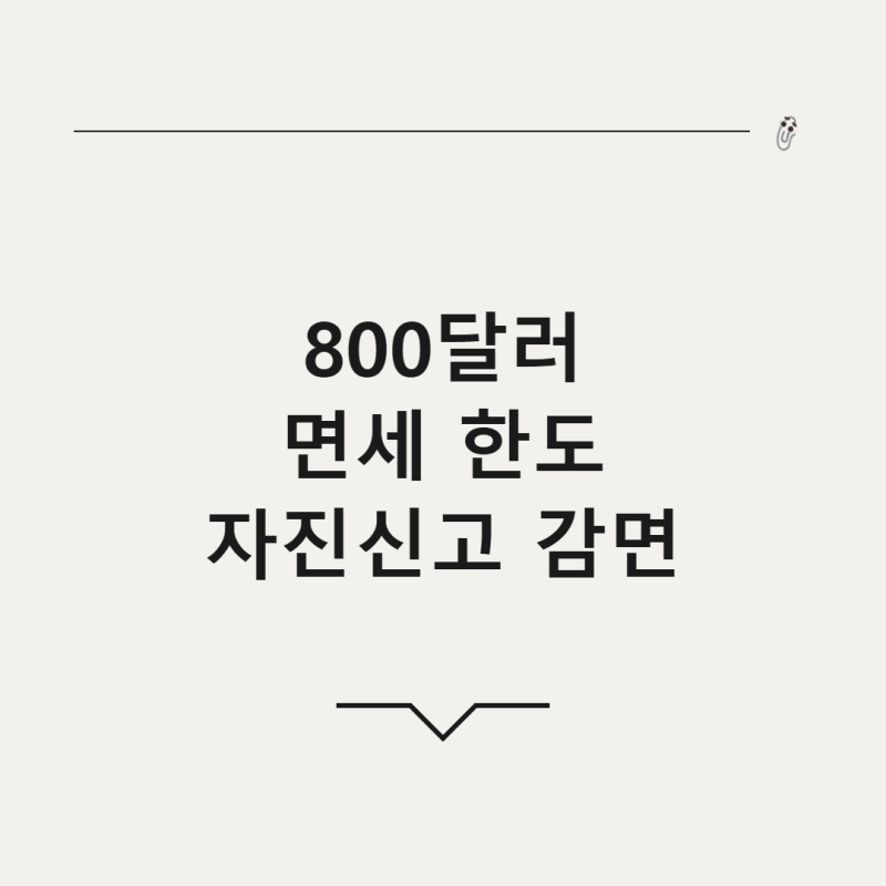 해외여행 면세 한도 800달러 총정리, 자진신고하면 세금 얼마나 줄어들까