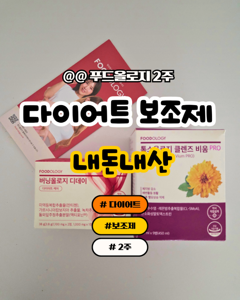 [내돈내산] 푸드올로지 2주 다이어트,(버닝올로지 디데이, 톡스올로지 클렌즈 비움)