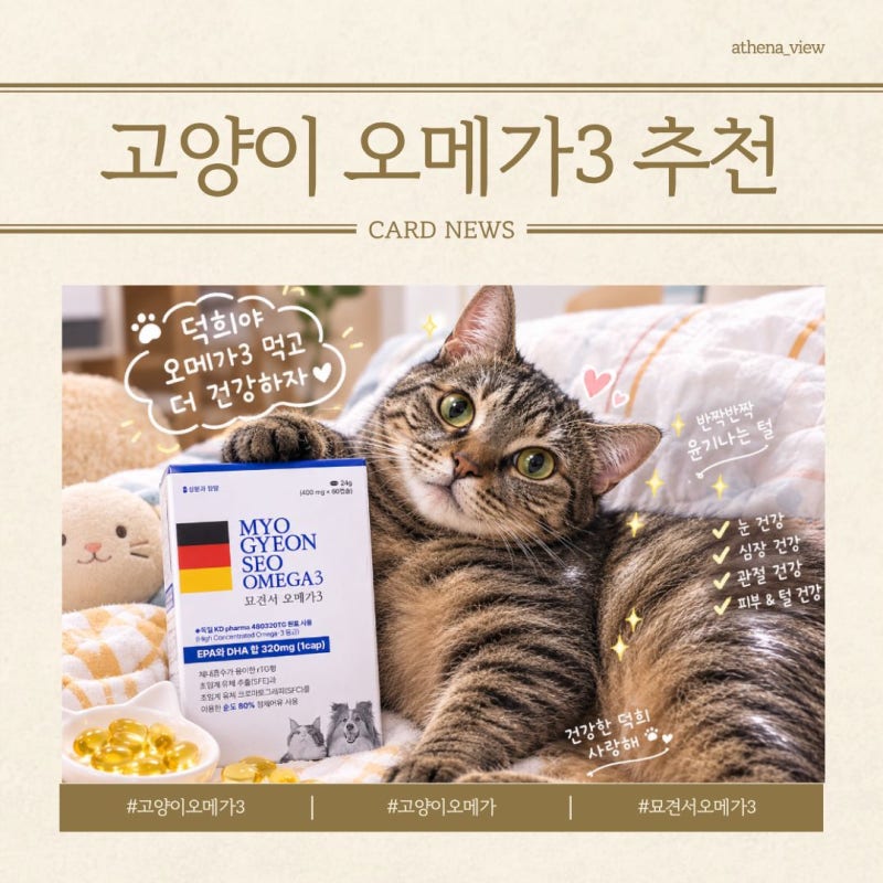 내돈내산 고양이 오메가3 추천 효능까지 체감한 묘견서 오메가3
