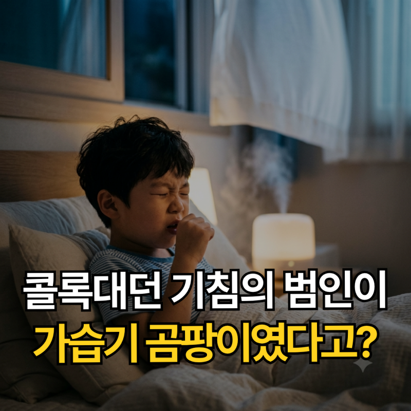 밤마다 콜록대던 기침의 범인이 가습기 곰팡이? 폐 염증 막아낸 3가지 안전 수칙