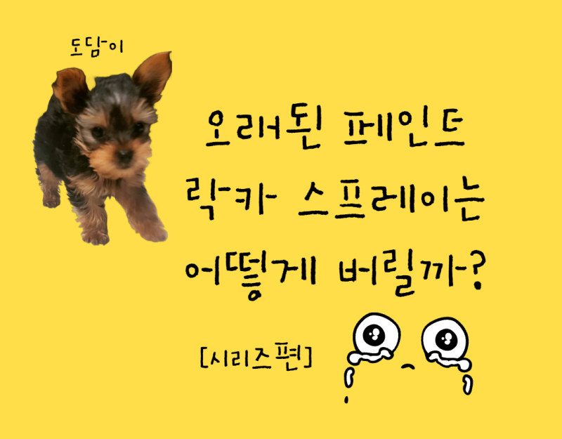 오래된 페인트·락카·스프레이는 어떻게 버릴까? 내용물이 남아 있으면 더 위험한 이유