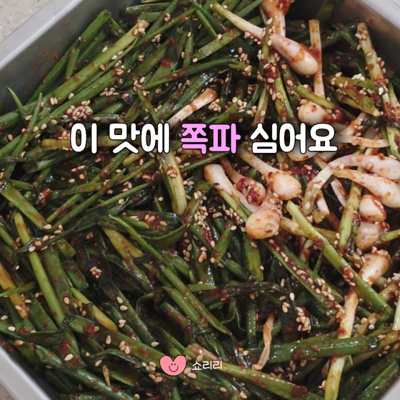 "5분이면 파김치 뚝딱" 자꾸 해먹게 돼서 쪽파 심는 시기까지 알아봤어요