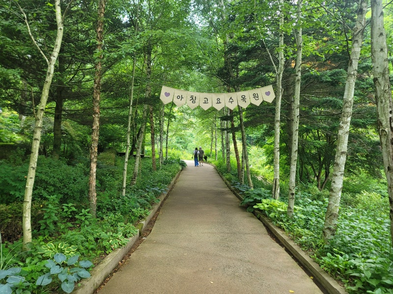 경기도 가평 가볼만한곳 데이트코스 가을여행 아침고요수목원