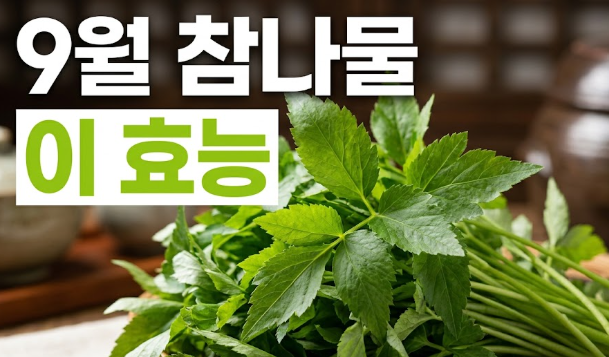 9월 제철 참나물 효능과 영양성분 총정리: 혈압 조절부터 눈 건강까지