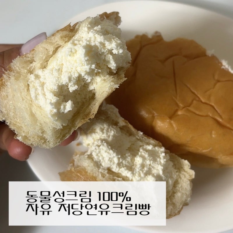 자유 저당연유크림빵 | 저당인데 동물성생크림 100%