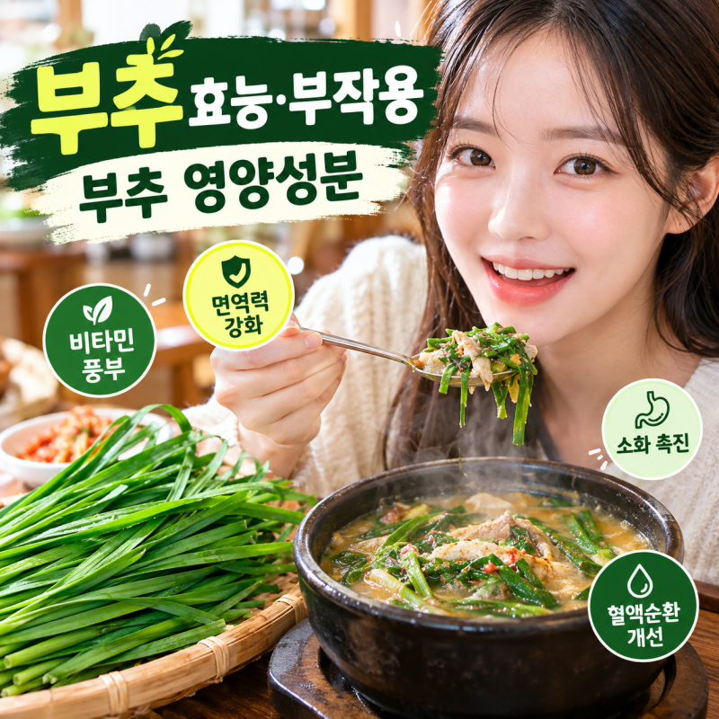 부추 효능 부작용 부추영양성분