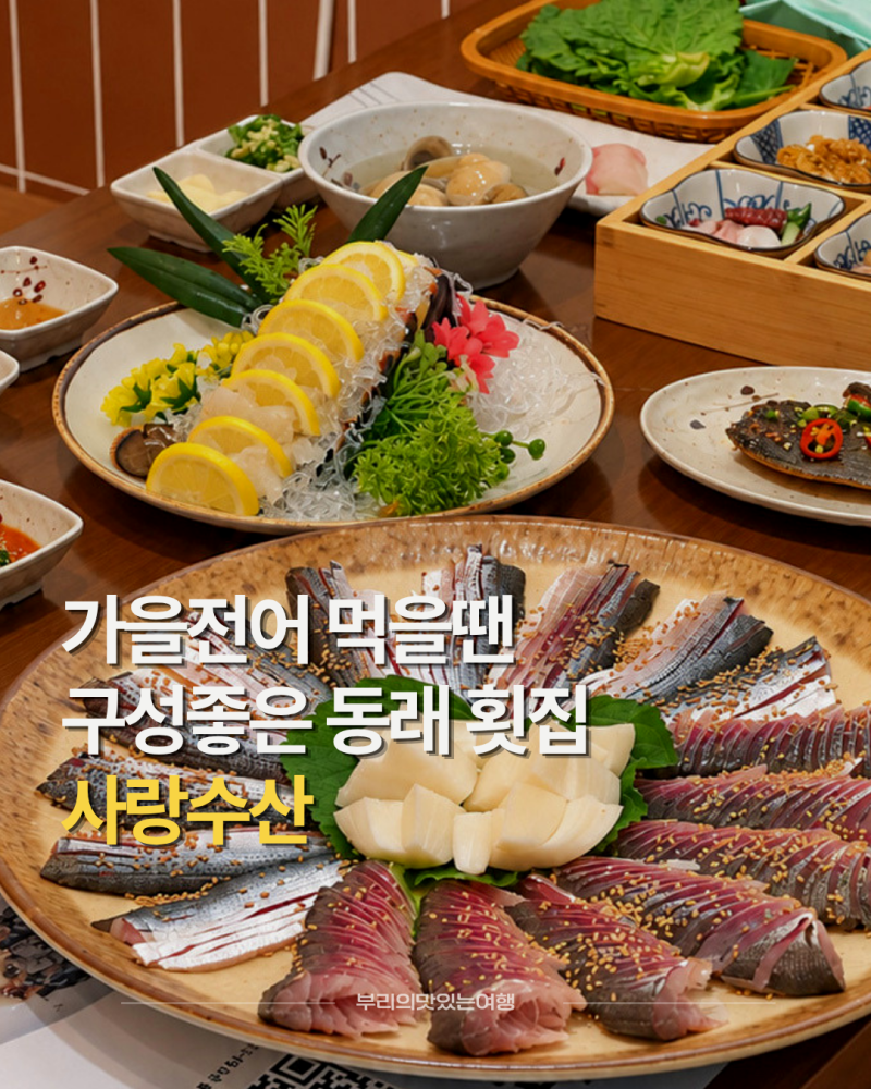 부산 동래 맛집 사랑수산 제철 전어 맛있는 동래 횟집
