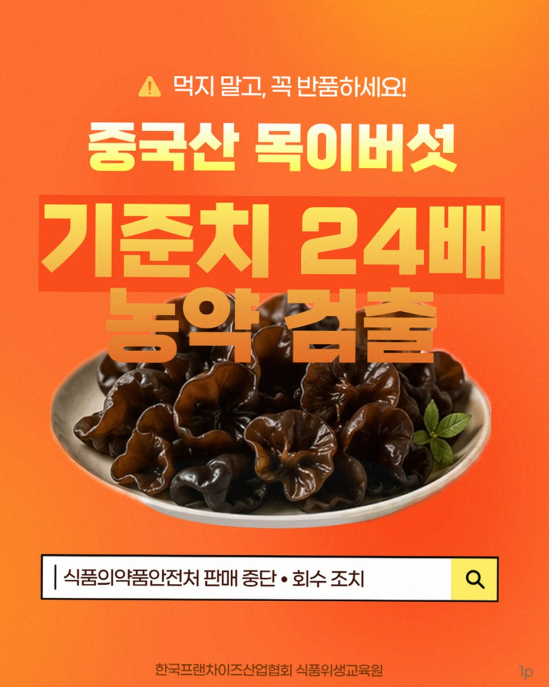 중국산 목이버섯 잔류농약 검출 수입 식품 회수 대상 확인법 총정리