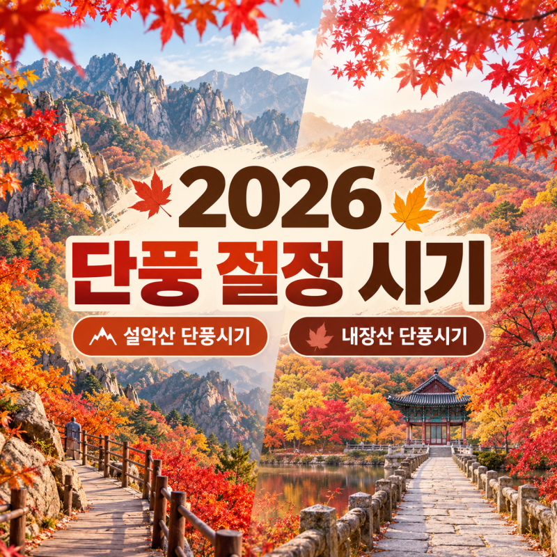 2026 단풍 절정 시기 설악산 내장산 단풍시기 총정리