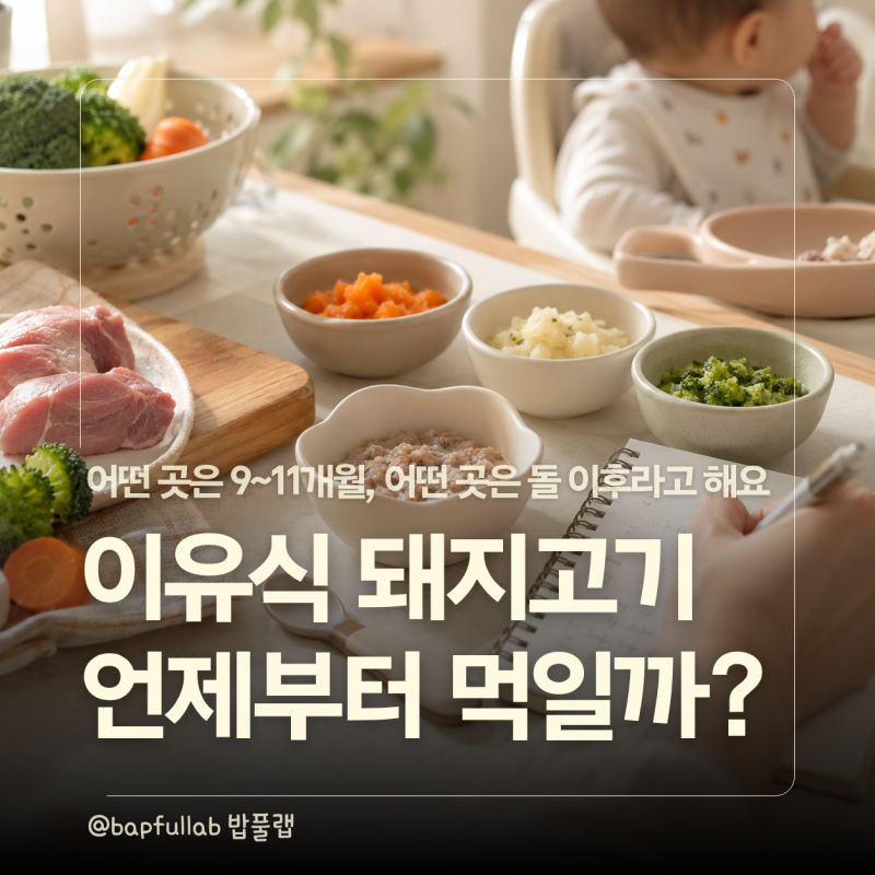 이유식 돼지고기 언제부터? 9~11개월 후기 식단에는 어떻게 쓰고 있을까