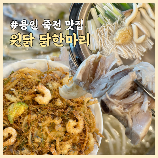 용인 수지 맛집 원닭 닭한마리 | 회식 • 가족 외식하기 좋은 죽전 맛집 (feat. 해물파전)