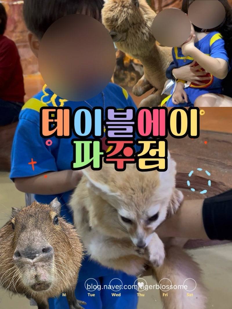 파주 아이랑 동물체험 야당 놀거리 테이블에이 파주점 주차 시설 파주 카피바라 알파카