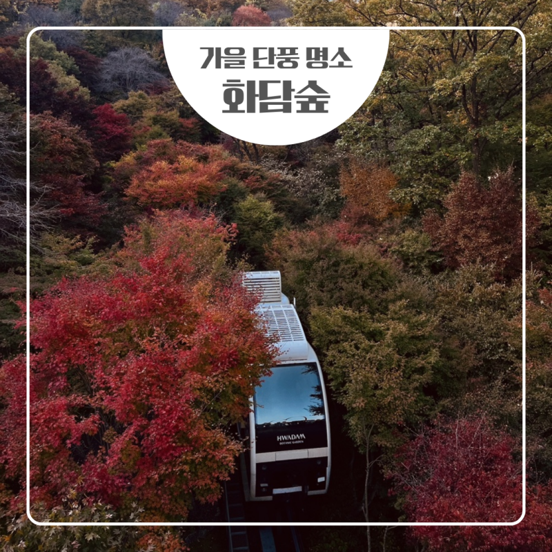 화담숲 단풍 예약 9월 16일 오픈! 방문자가 알려주는 주차·모노레일 꿀팁