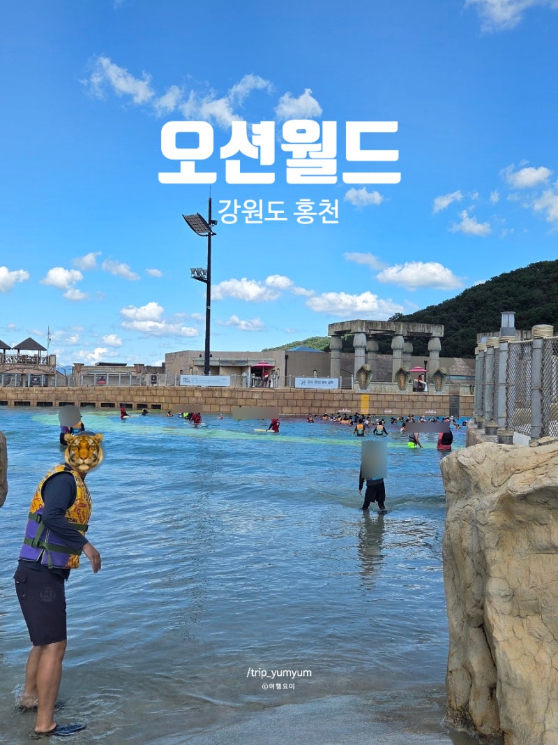오션월드 평일 후기 입장권 웨이팅 대기시간 준비물 추천 코스