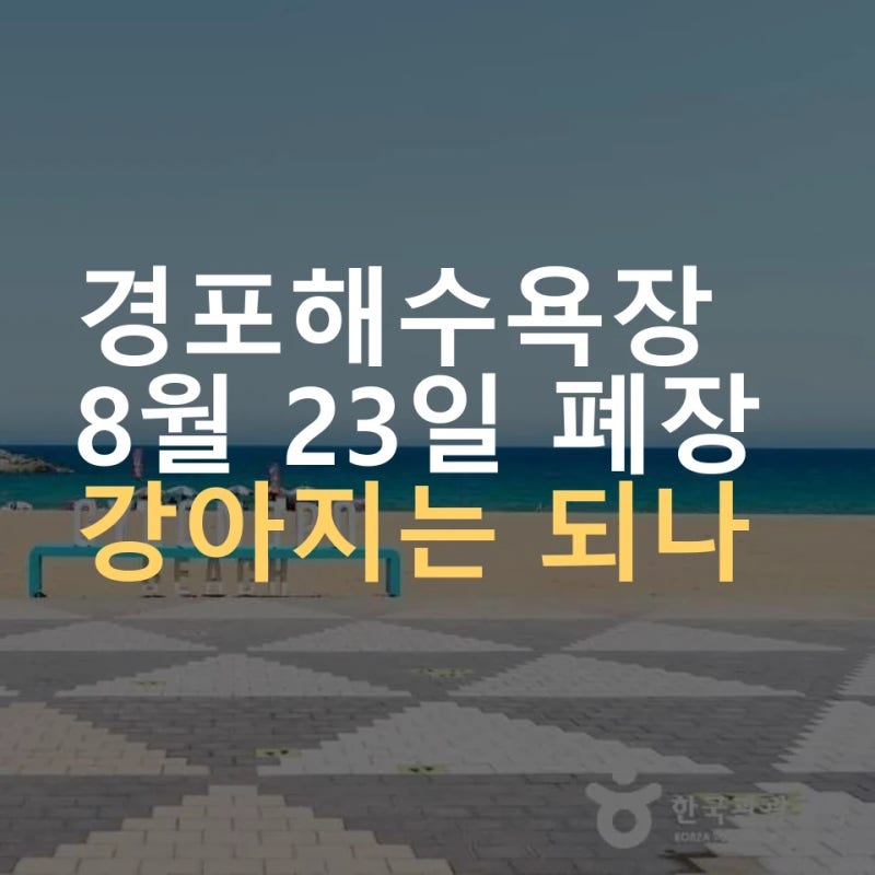 강릉 경포해수욕장 폐장, 9월 강아지 동반은 일부 구역 ｜ 8월 23일 종료·입마개·안전 순찰