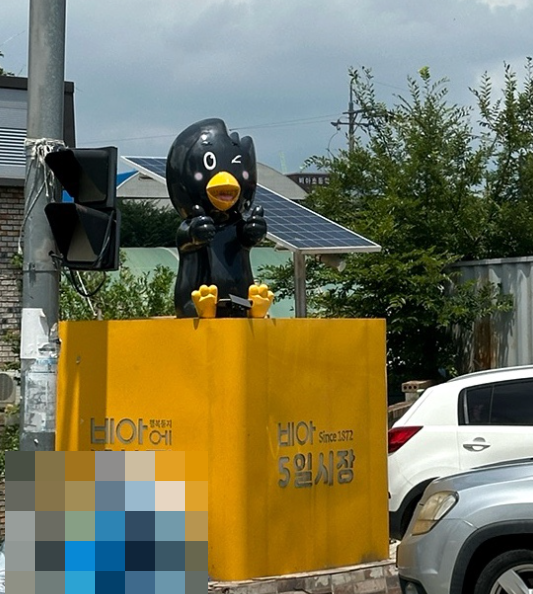 [ 광주 전통시장 ] 없는것 빼고 다 있는 " 비아5일시장 "