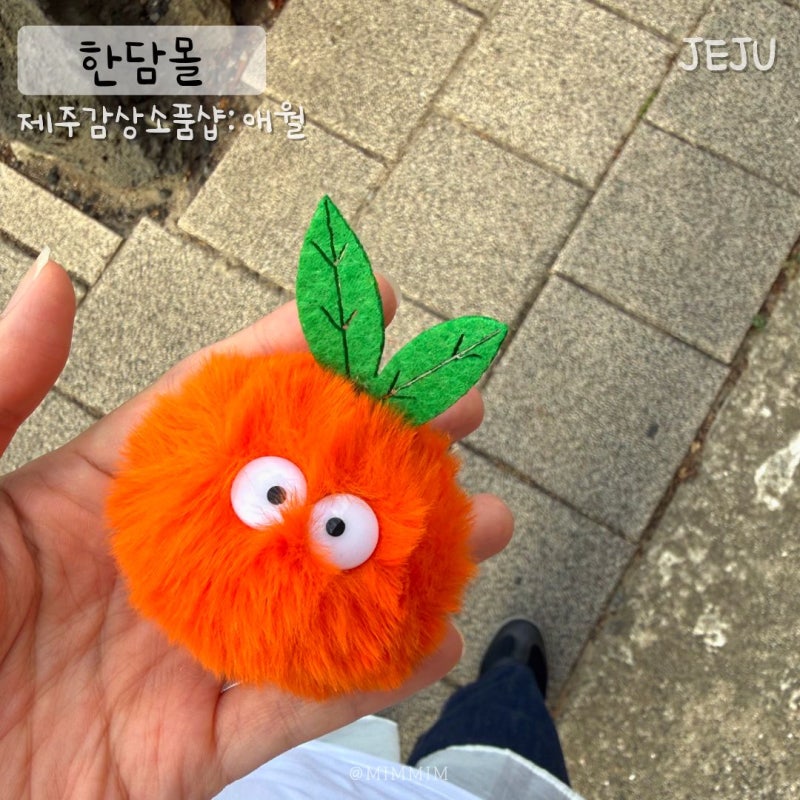 애월한담공원 산책하다 발견한 제주 소품샵 한담몰｜제주 기념품 한가득
