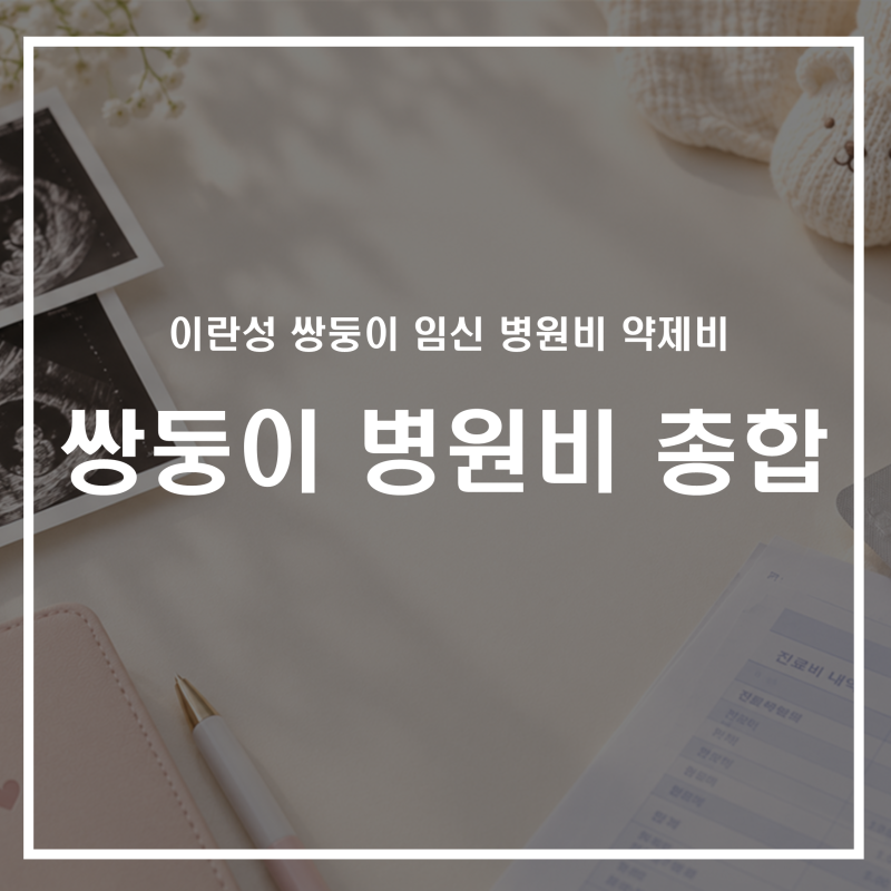 이란성 쌍둥이 임신 출산 병원비 약제비 최종 정리