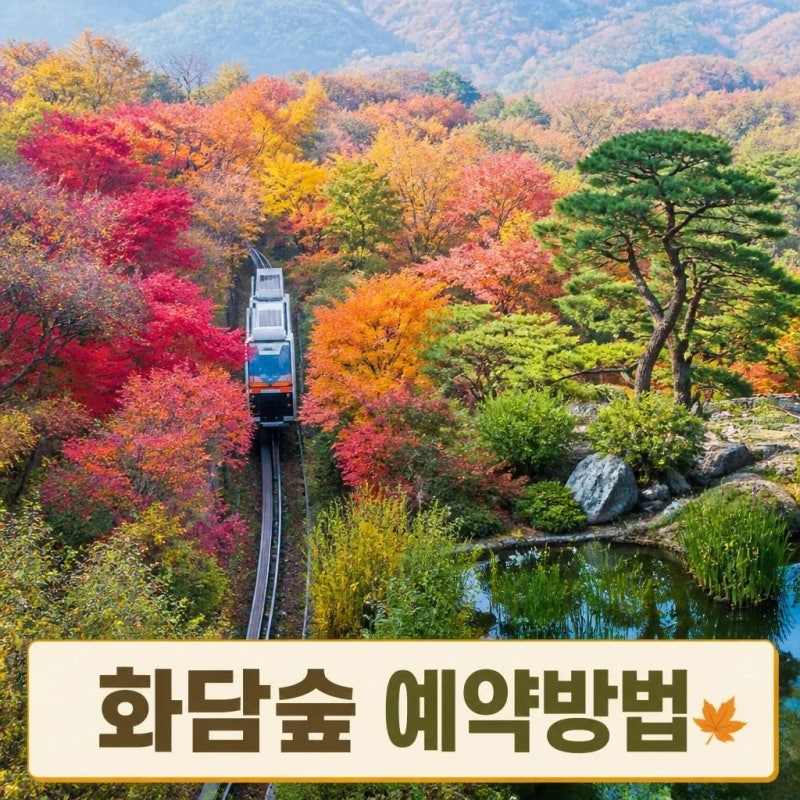2026 가을 단풍 화담숲 예약방법 및 예약꿀팁