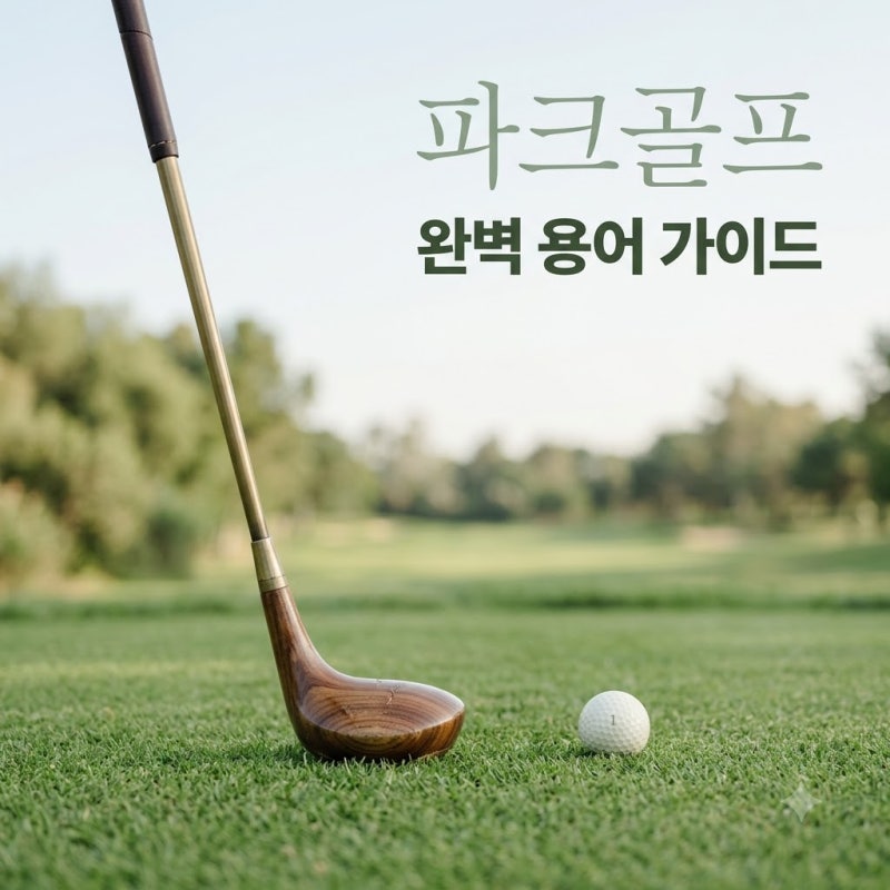 "99%가 헷갈려해요".. 파크골프용어정리책 대신 딱 5분만 정독