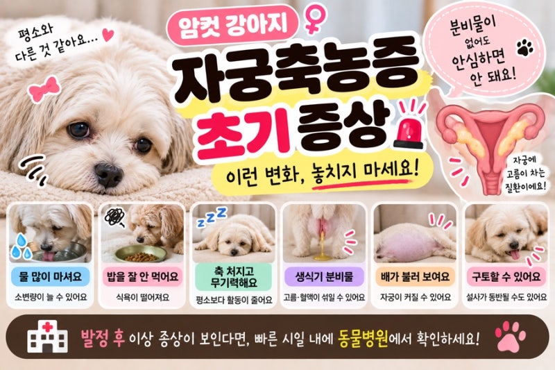 암컷 강아지 자궁축농증 초기 증상 발정 후 이런 변화 주의하세요