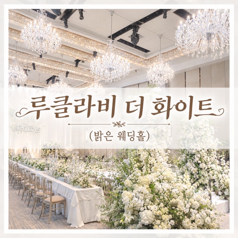강남웨딩홀 밝은 홀 루클라비 더화이트 하객 후기 : 뷔페 위치/주차 장단점 웨딩플래너의 솔....