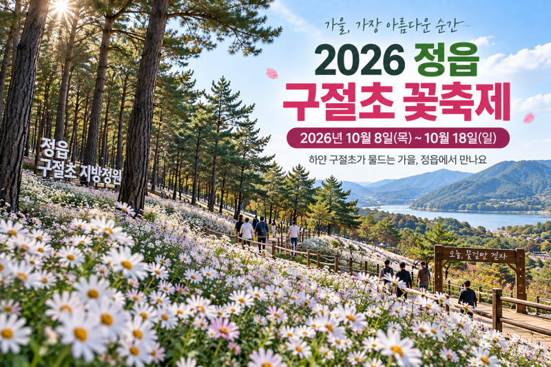 2026 정읍 구절초 꽃축제 기간·입장료·주차 총정리, 언제 가야 예쁠까?