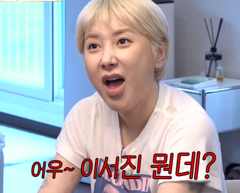 비서진 서인영 이서진, “핸드폰 광고라도 찍었어야 됐나"