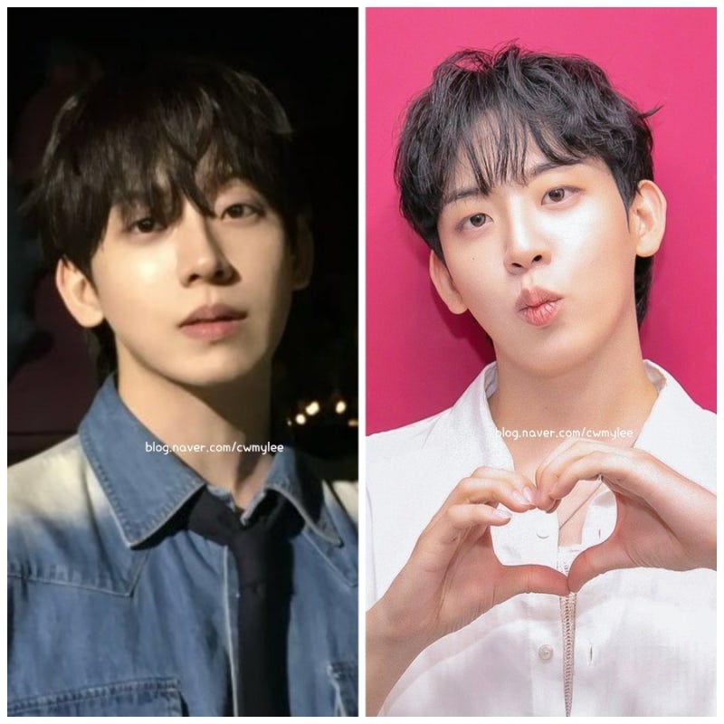 전지적 참견시점 카이스트 연구원 허성범 인스타 전참시 AI 매니저 도나 구독료 100만원 집 위....