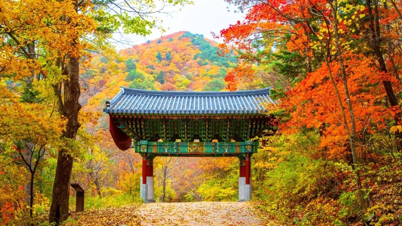 2026 Happy Double Temple Stay: Booking Schedule, Participating Temples Nationwide, Discount Usage Guide
