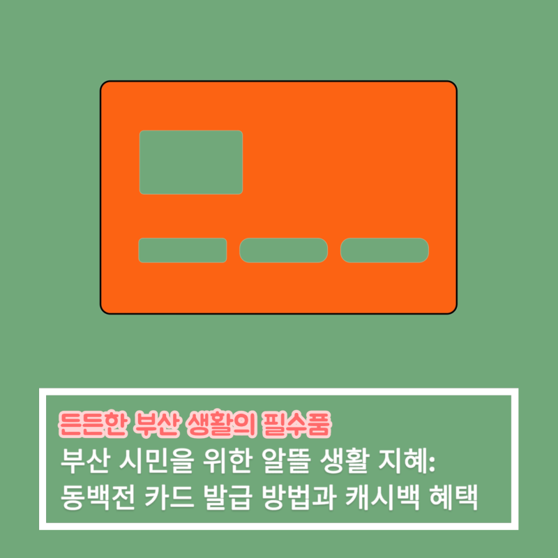 부산 시민을 위한 알뜰 생활 지혜: 부산 동백전 카드 발급 방법과 캐시백 혜택
