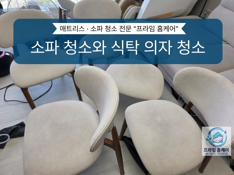 아산 탕정 소파 청소 !!! 7인 코너형 소파 먼지 제거와 식탁의자 케어 후기