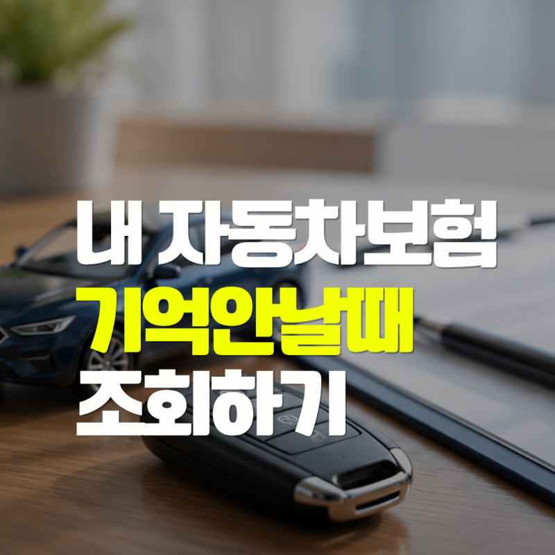 자동차보험 조회 어디 가입했는지 기억 안 날 때 찾는 법