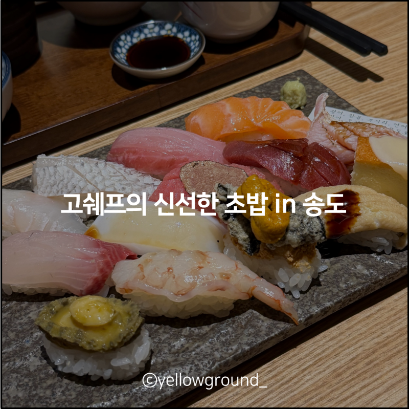고쉐프의 신선한 초밥 in 송도 오마카세 판초밥 혼밥 후기