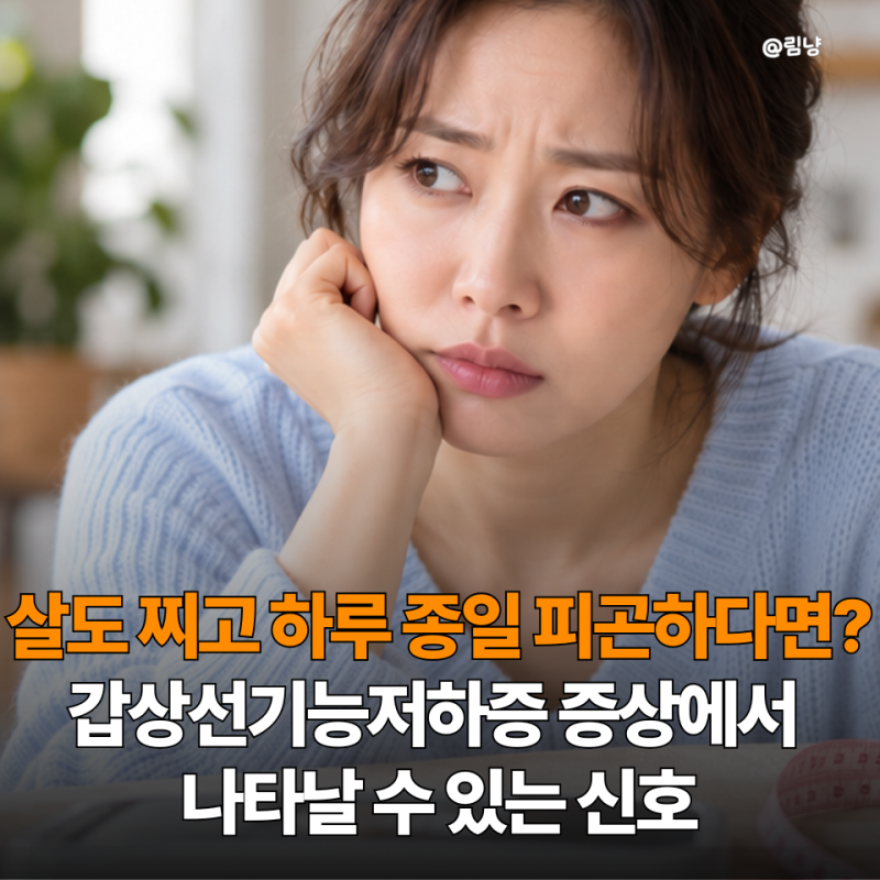 "조금 먹는데 왜 자꾸 살이 찔까요?" 갑상선기능저하증 증상 다이어트보다 먼저 확인해야 할 ....