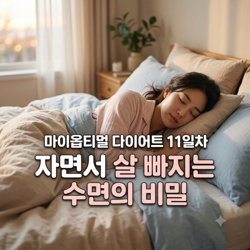 [박용우 마이옵티멀 스위치온 11일차] 지방 태우는 수면 법칙과 코르티솔 관리 (자정 전 취침 ....