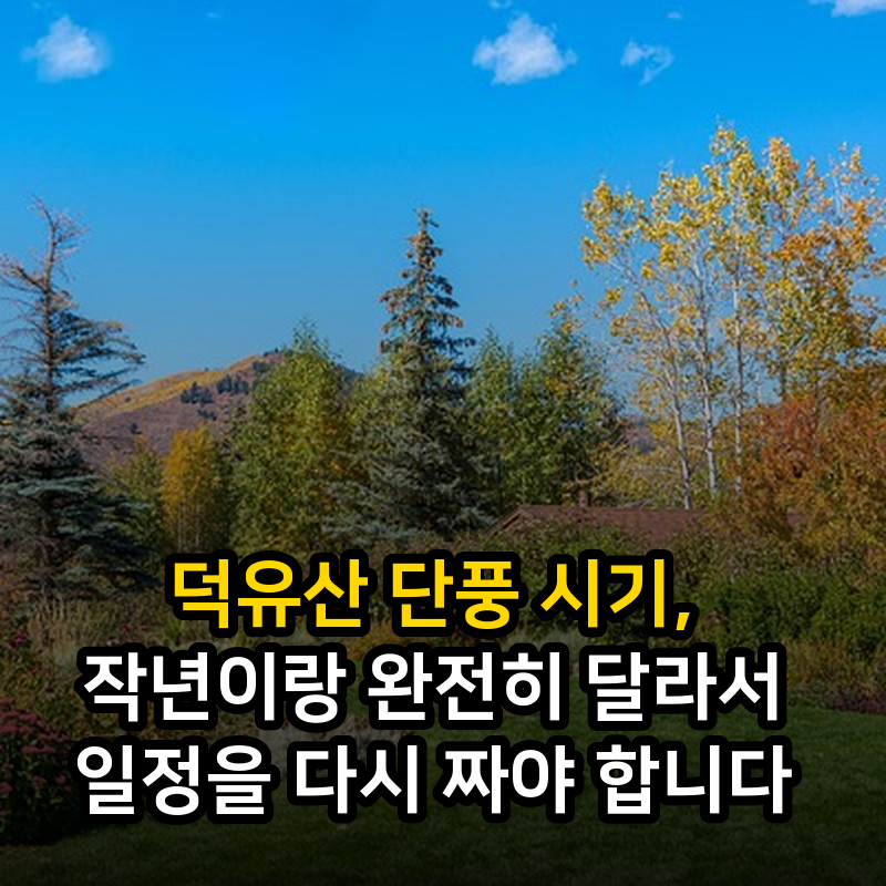 덕유산 단풍 시기, 작년이랑 완전히 달라서 일정을 다시 짜야 합니다