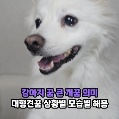 강아지 꿈, 큰 개꿈 의미 대형견 커다란 개가 나온꿈 무는꿈 보는꿈 상황별 모습별 해몽