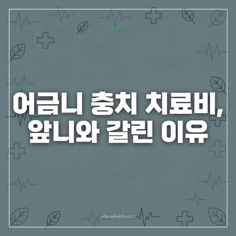 어금니 충치 치료 비용, 앞니 견적과 비교해 봤더니 차이는 여기서 났다
