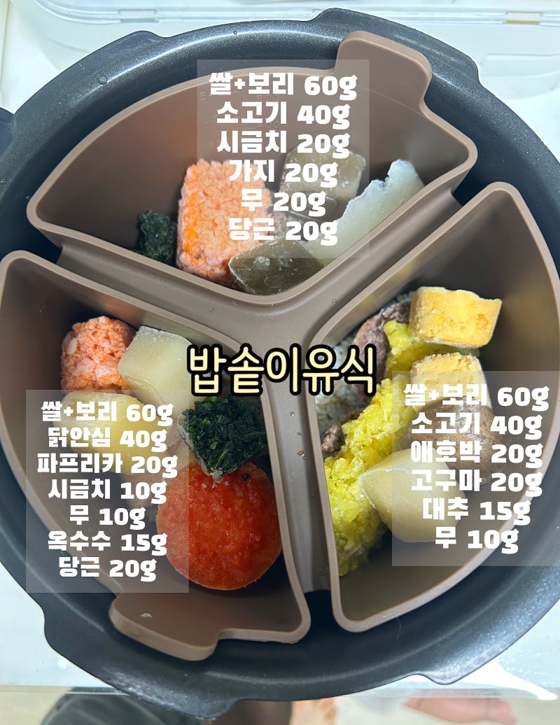 [육아]7개월 아기 중기이유식｜밥솥 하나로 만드는 초간단 이유식 (퍼기 이유식 마스터 밥솥 ....