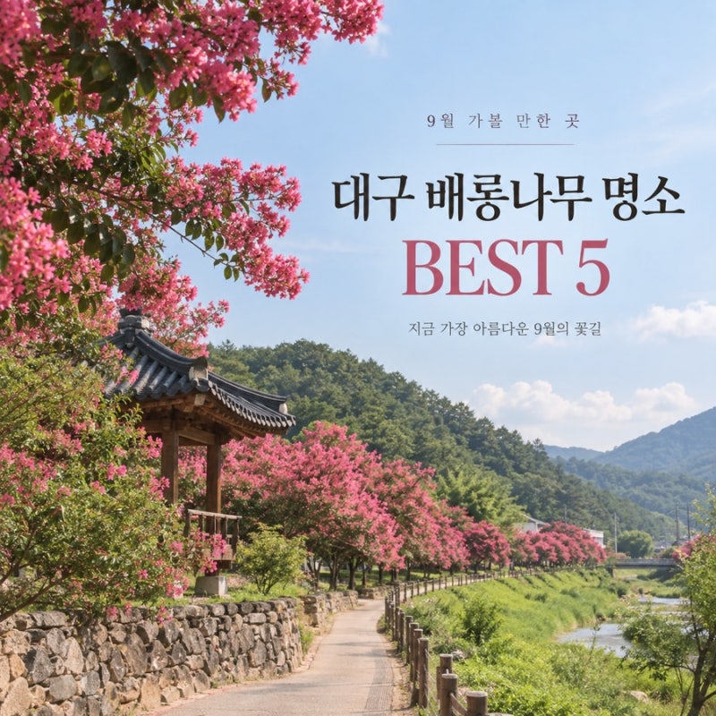 대구 배롱나무 명소 BEST 5｜9월 지금 가볼 만한 대구 근교 꽃구경 총정리