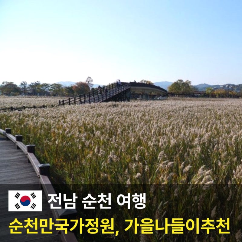 순천만국가정원 입장료 및 스카이큐브 관람차 갈대 후기