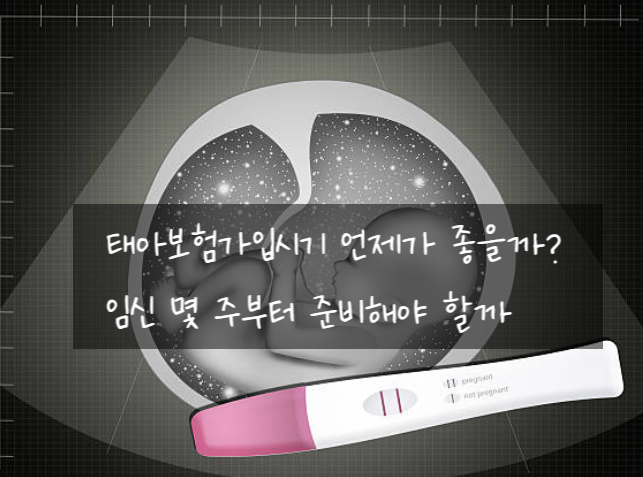 태아보험 가입시기? 임신 몇 주부터 준비?
