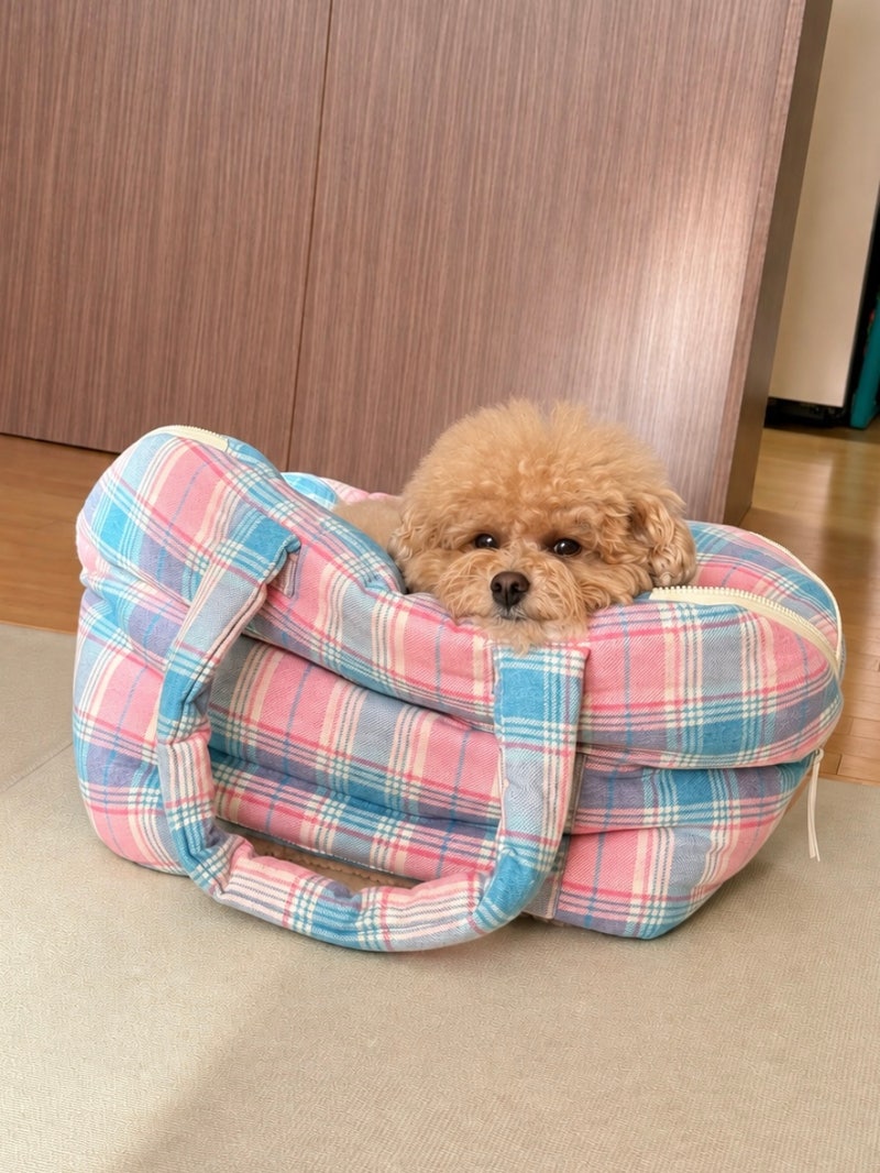 루이독 어라운드백 그랑 후기｜4kg 강아지 이동가방 추천