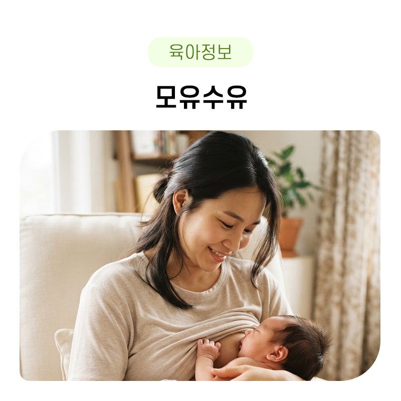 모유수유 좋은 음식, 시간, 방법이 궁금하다면