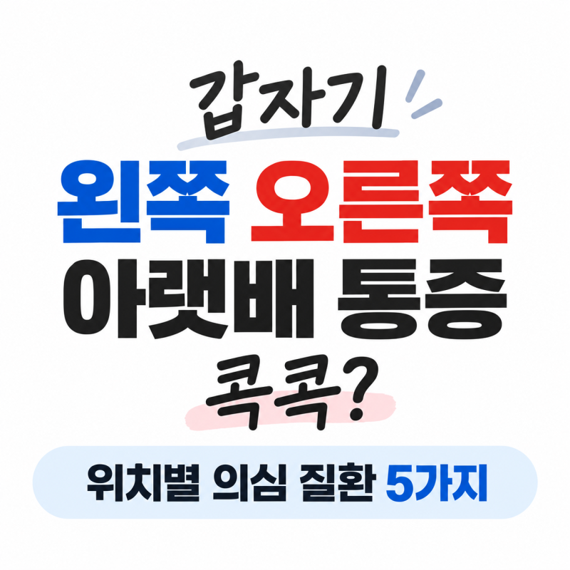 갑자기 왼쪽 오른쪽 아랫배 통증 콕콕? 위치별 의심 질환 5가지