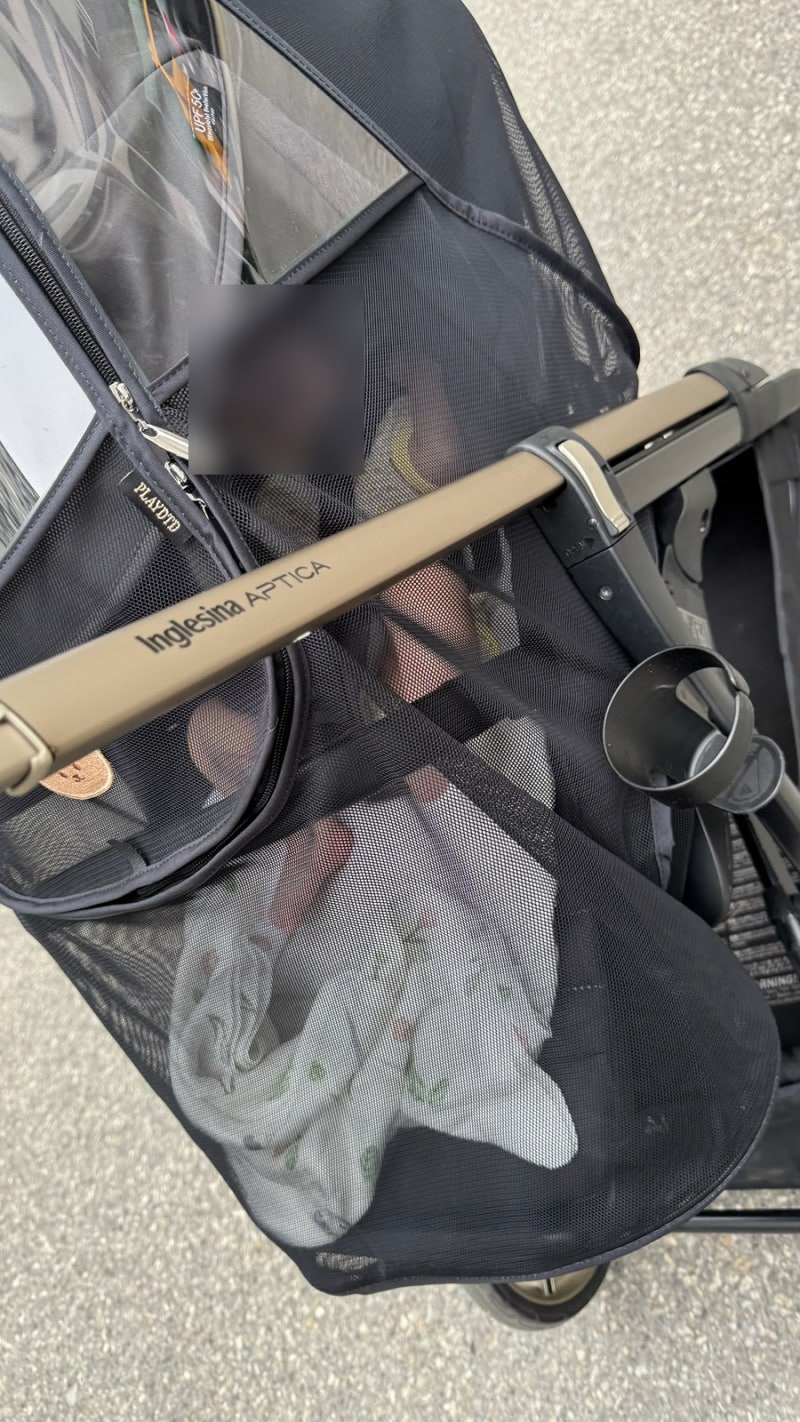 신생아 절충형 유모차 후기 (잉글레시나 앱티카, 애개육아, 당근)